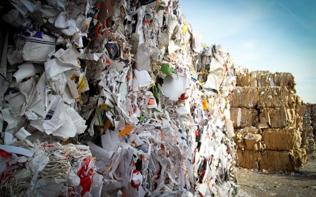 “Puls Biznesu”: Nowa propozycja walki z odpadami