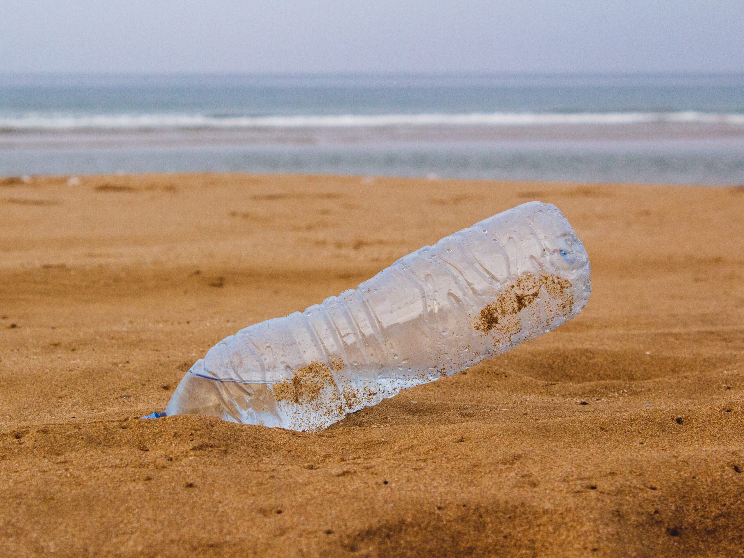 Plastikowa rewolucja przemysłowa czyli dyrektywa SUP po trilogu